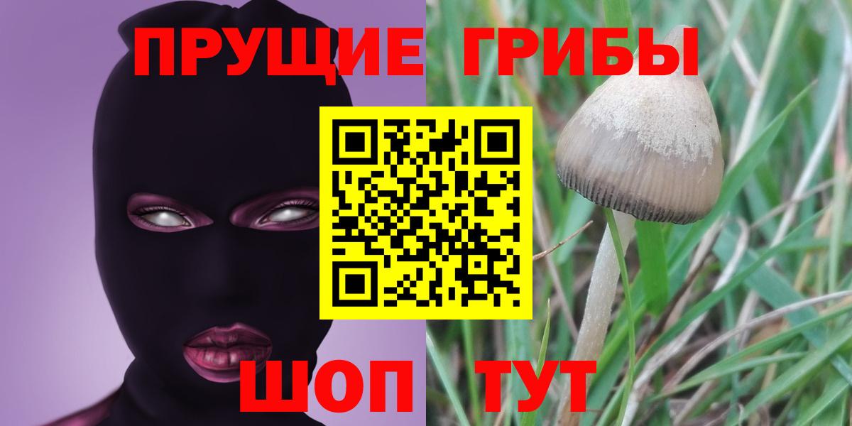 Псилоцибиновые грибы мухоморы  Вход с VPN  Великий Устюг 
